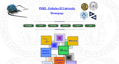 Desktop Screenshot of fmri.unina.it